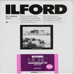 고급 토닝 기능이 있는 Ilford 멀티그레이드 RC 디럭스 글로시 흑백 사진 용지(25매 4팩) 번들(4개 품목)