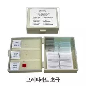 [룽스_63]초등과학키트 초급 어린이 관찰표본슬라이드