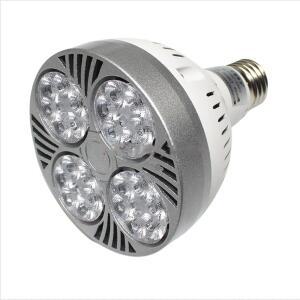 E27 PAR30 LED 매장 바 카운터 샹들리에 전구