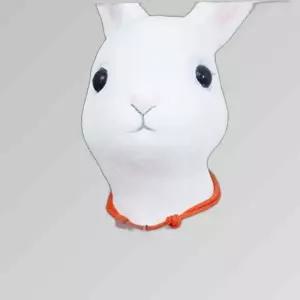 D18 스마일꽃목걸이 (뼈다귀) 애완용품
