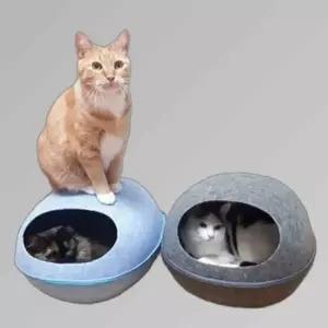 부드러운 고양이 숨숨하우스 아늑한 휴식공간