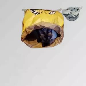 귀여운 고양이 종이하우스 스트레스 해소 공간