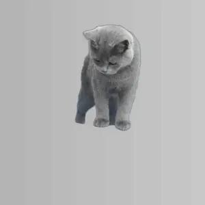 도넛 블루 터널 고양이 60cm 고양이 집