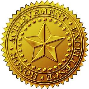 훌륭한 논문들! 업적과 상을 위한 스타 엠보싱 공식 금박 인증서 도장 48 카운트 (903419)