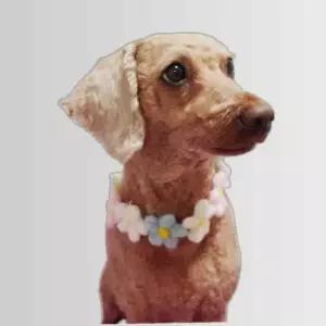 강아지 고양이 반려동물 목걸이 용품 M 꽃