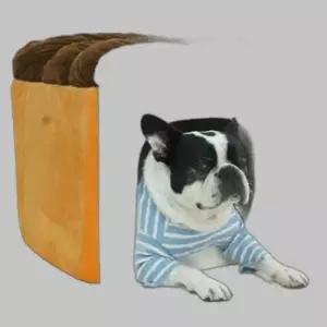 강아지 극세사 식빵 하우스 대형 커버분리 숨숨집 1P