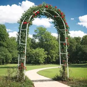 스테인레스 아치 프레임 야외 플라워 장미 포도 웨딩