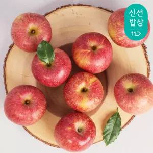 25년 부사 사과 가정용 2kg 5-8과/2세트구입시4.5kg발송 //미색/상처과/중대과크기