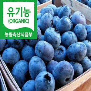 국산 유기농 블루베리 생과 1kg 산지발송 선물용