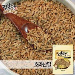 25년산 카무트쌀 호라산밀 고대이집트밀 슈퍼곡물 통밀 터키산 1kg