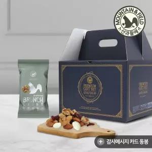갤러리아 하루견과 브런치라이트100봉선물세트