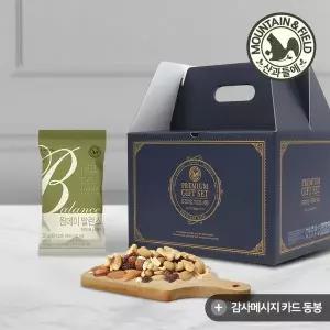 갤러리아 하루견과 원데이발란스그린100봉선물세트