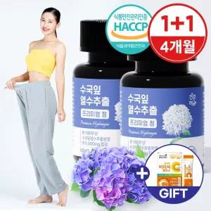 수국잎 열수 추출물 수국 효능 국내산 프리미엄 정 2병(4개월분)