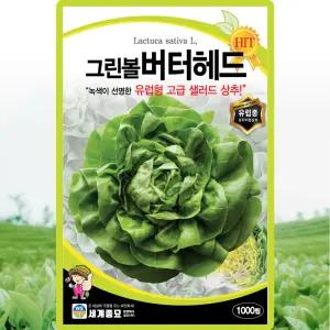 그린볼버터헤드 상추 씨앗 1000립 유럽형 고급 샐러드 상추씨 종자