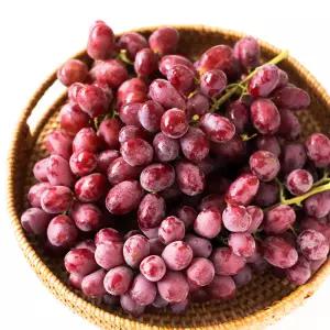 수입산 고당도 크림슨 씨없는 적포도 1kg 2kg