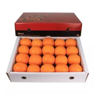[삼다몰]제주 카라향 선물세트 3kg 5kg 10kg
