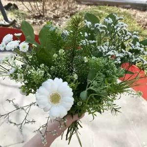 오후의 꽃 생화택배 꽃다발 그린 화이트 한다발 그린 소재 양재꽃시장