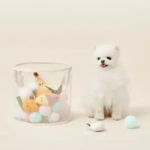 울리 강아지 장난감 정리 보관함 투명바스켓 원형 바구니 1개 소형 MNS