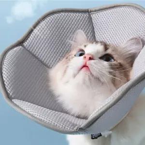 강아지 넥카라 통풍 고양이 핥기방지 수술후 보호대 쿠션