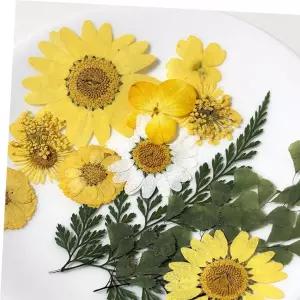 압화꽃 꽃송이 드라이 플라워 조화 DIY 책갈피 드라이플라워 만들기 꽃갈피 압화 공예 누름꽃 식물