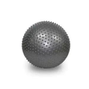 그레이 헬스용품 색상 마사지짐볼 65cm