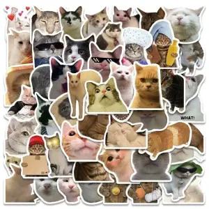 PVC 노트북 고양이 스티커 50장 아이패드스티커 맥북스티커 폰꾸스티커 (WCC651D)