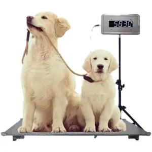 몸무게 측정기 반려 대형 반려동물 고양이 동물병원 정밀 동물