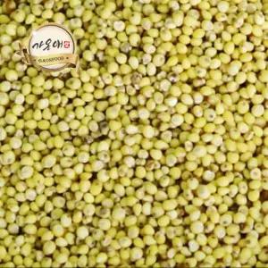 [가온애] 찰기장 500g / 잡곡 혼합곡 기장 기장쌀 국산기장 국산잡곡 잡곡쌀 슈퍼푸드 잡곡류 30종 모음