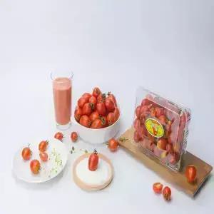 [달콤마켓] 대추 방울토마토 (소과)2kg 2박 스구매시 1kg추가 발송