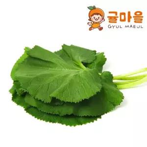 [귤마을] 국내산 호박잎 1kg