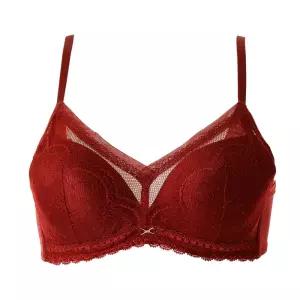 [롯데백화점]비너스 CD컵-25 AW 광고 서브 애쉬메모리 브라 [VBR9001C_D]