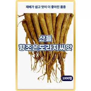 산들 향조은 도라지 씨앗 1000립 생육이 빠른 민속채소 도라지씨 종자