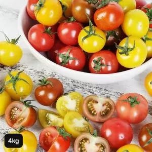 [NS홈쇼핑]전북 스마트팜 오색칵테일토마토 4kg[35734187]