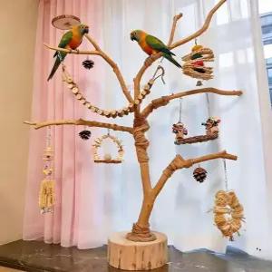 앵무새 횃대 자연목 새장 대형 새집 놀이터 조류 사다리