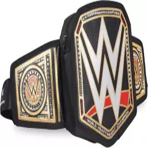 이 WWE 챔피언십 패니 팩 단열 벨트 웨어러블 쿨러
