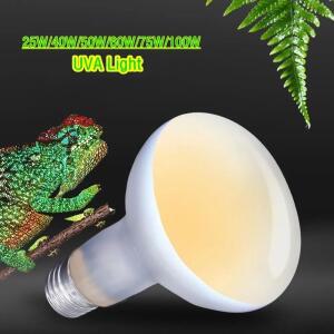 파충류 UVA 램프 전구 25W/40W/50W/60W/75W/100W 애완동물 보육용 열등/주광등 거북이 도마뱀 테라리움 온
