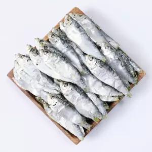 백송식품 국물내기진수 디포리 (밴댕이/다시용) 원물박스-1.5kg