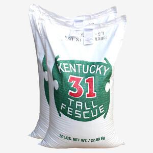 톨훼스큐 1kg 잔디씨 잔디씨앗
