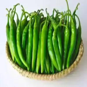 바르다야채 국내산 맛있게매운 청양고추(특) 1kg (매운고추)
