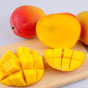 천하일품 제주 애플망고 500g, 1kg, 2kg, 3kg