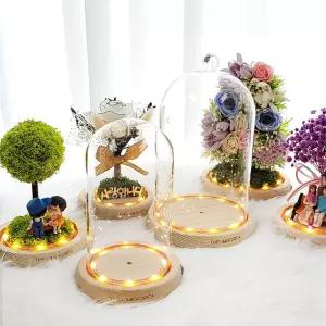 유리돔 DIY 키트 테라리움 카네이션 플라워 학교 수업 재료