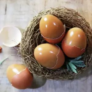 푸드번창 구운계란 1판 30구 중란
