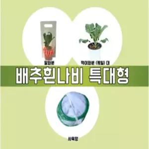 배추흰나비알화분(특대형)3종세트