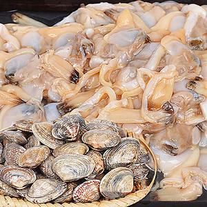 제철맞은 고흥산 깐 생바지락살 500g/ 1kg
