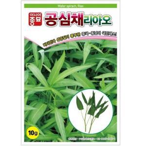 [아시아종묘]씨앗 쌈 공심채리아오 750g