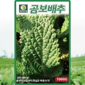 다농 곰보배추 씨앗 1000립 배암차즈기 곰보배추씨 종자