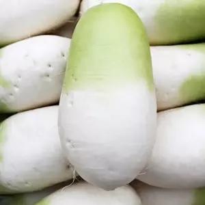 아삭달큰한 제주 세척 월동무 3kg(2-3개)