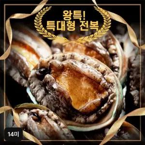 [NS홈쇼핑]완도활전복 왕특특대 14미 (106~120g)[34445225]