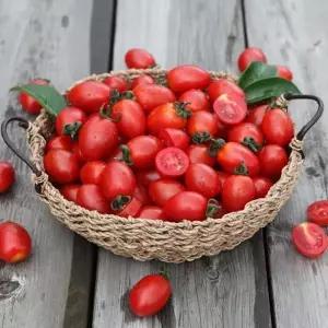 토마토 방울토마토 대추방울토마토 5kg(소과/4번)