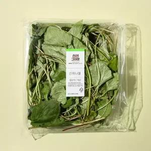 산취나물 150g